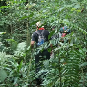 Bali Jeep Tours, Jeep Tours and Trekkings in Bali