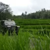 Bali Jeep Tours, Jeep Tours and Trekkings in Bali