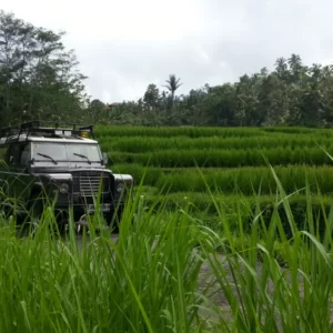 Bali Jeep Tours, Jeep Tours and Trekkings in Bali