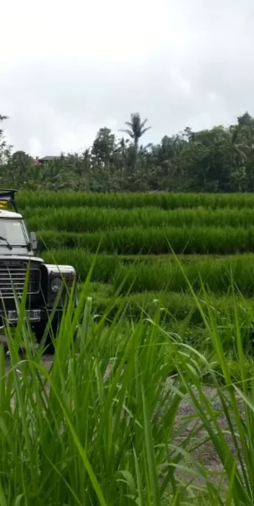 Bali Jeep Tours, Jeep Tours and Trekkings in Bali
