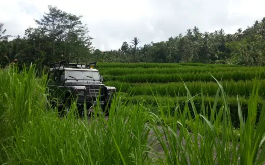 Jeep Tour THE SECRET OF BALI