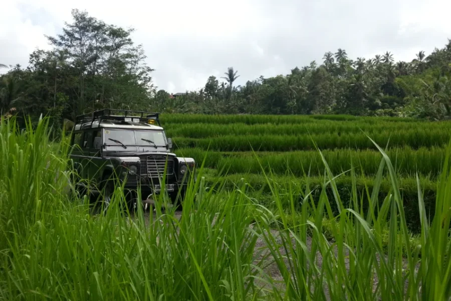 Jeep Tour THE SECRET OF BALI